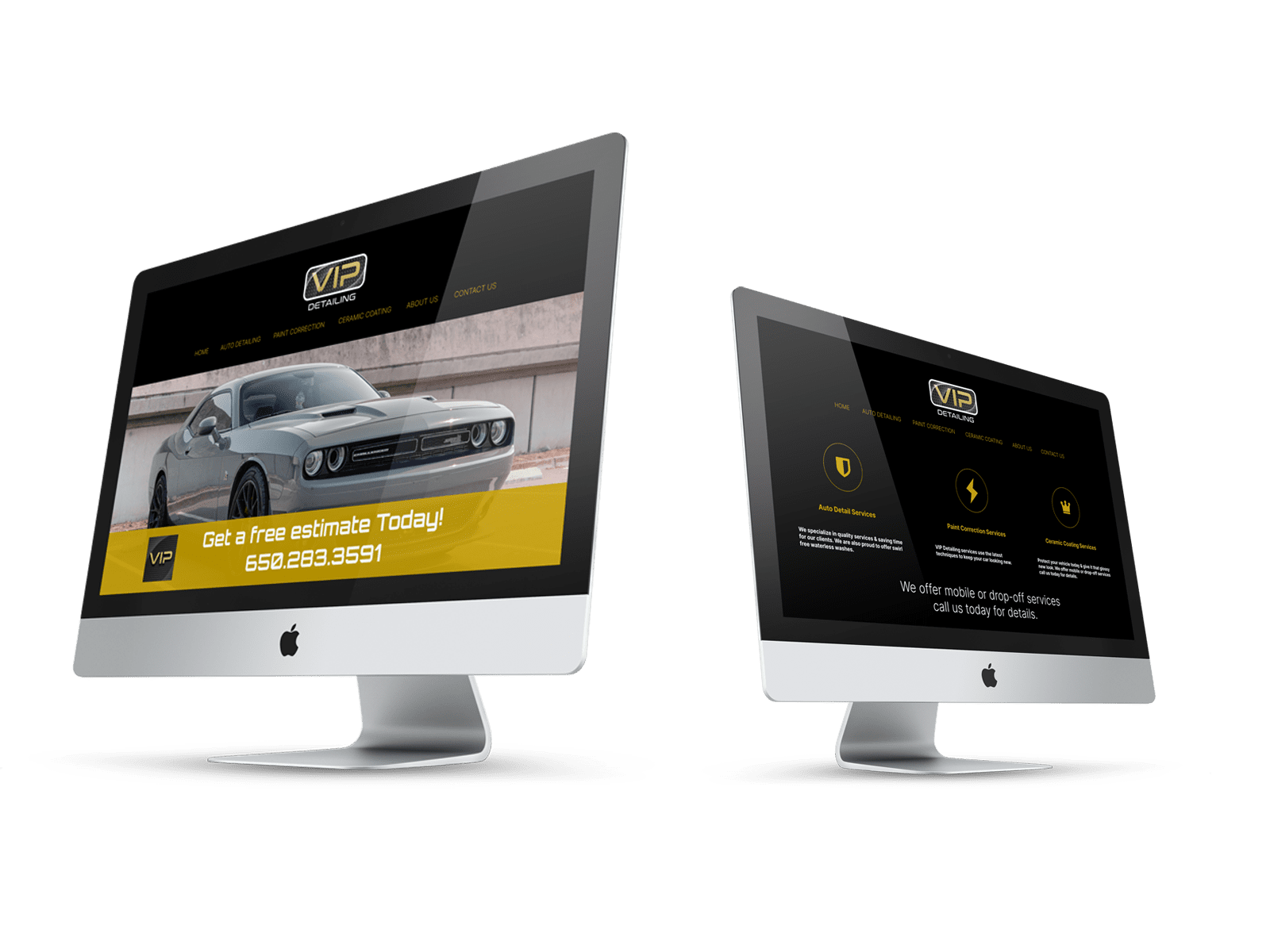 VIP Auto Detailing