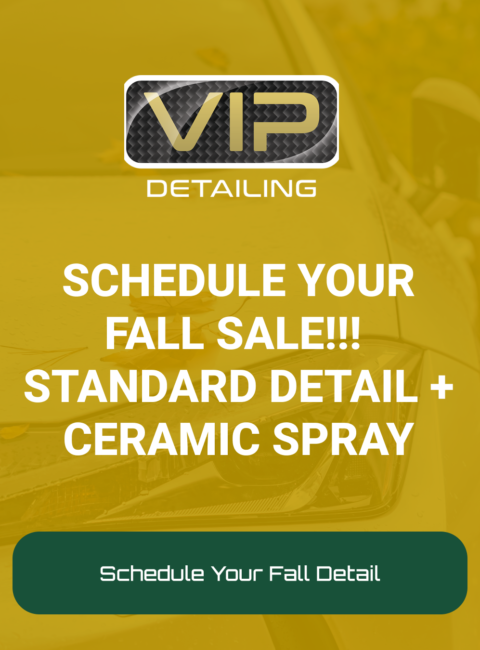 vip-fall-ad5 vip-fall-ad5
